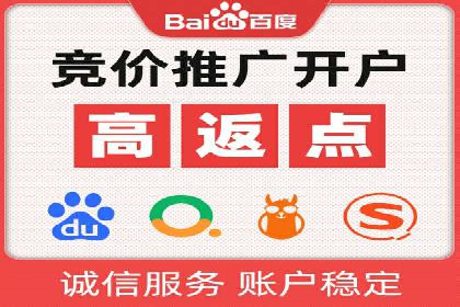 SEM广告投放中的数据监控与调整策略——以某品牌营销案例为例